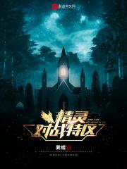 精灵对战网游