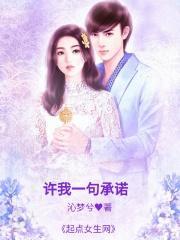 我许下承诺对你到老是什么歌曲