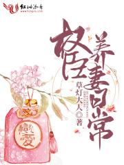 权臣养妻日常长沟落月第28章