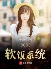 我的软饭系统百科