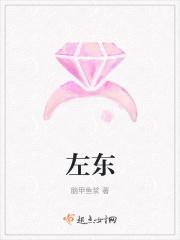 左东右西上北