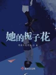 他的栀子花戚彩txt