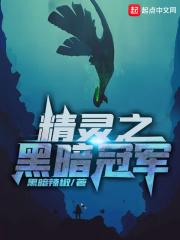 精灵之黑暗之巅