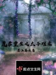 重生太子妃君墨渊