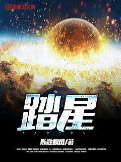 踏星里面的八色是什么