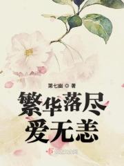 繁华落尽皆是空免费阅读无广告