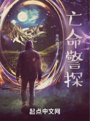 玩命警探电影