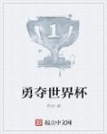 中国的勇夺世界杯