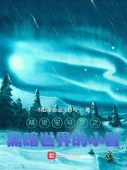精灵宝可梦之黑暗降临
