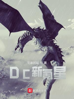 dc新氪星雄风网