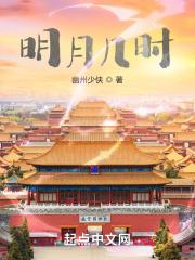 明月几时有多少字