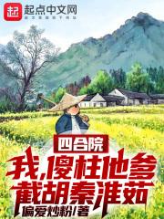 四合院我傻柱他爹截胡秦淮茹起点