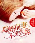 隐婚前妻佚名