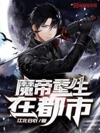 魔帝重生在都市季老板