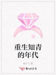 重生知青时代