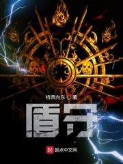圣盾包围巨星