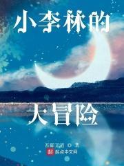 小李林大冒险 吾即正道