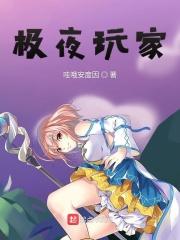 极夜玩家的玩家是什么