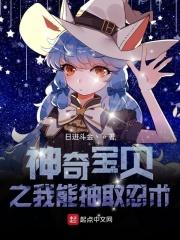 神奇宝贝之神抽奖系统类
