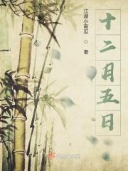 十二月五日是什么节