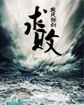 求败普洱茶价格