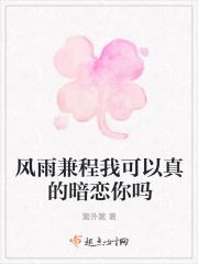 风雨兼程这首歌