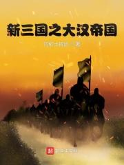 三国之新汉崛起