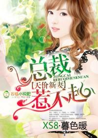 天价宠儿 总裁的新妻