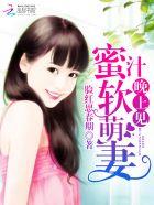 蜜汁萌妻夜夜宠