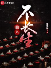 仙人不见了打一字