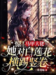 惊马甲大佬她对白莲花横踢竖卷 三重楼喻