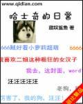哈士奇z