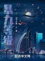 暴力等级怎么消除