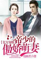 帝少亿万宠妻全文免费