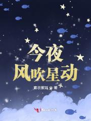 今夜晚风吹今夜月儿美是什么歌