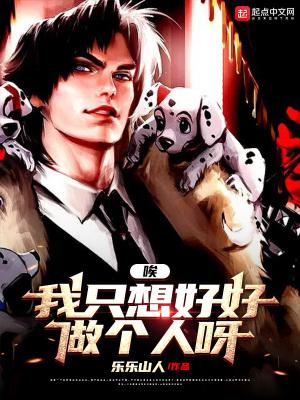 我是一只流浪的狼是什么歌
