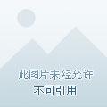 玄幻老婆女帝萌娃大闹九州的