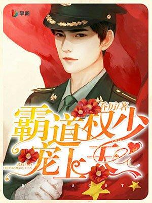 霸道权少盛宠妻