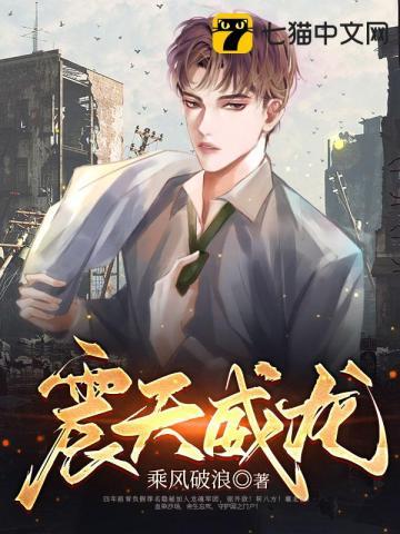 震天威龙叶枫免费完整版