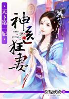 神医狂妻天下第一傲妃免费阅读