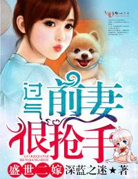 盛世二婚三爷狂宠妻许