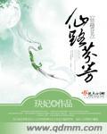 仙路何方全文阅读