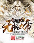 重生之无极剑圣