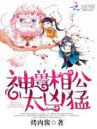 超级特战兵王无错版