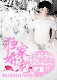 独家婚宠辛晴赢擎苍全文免费