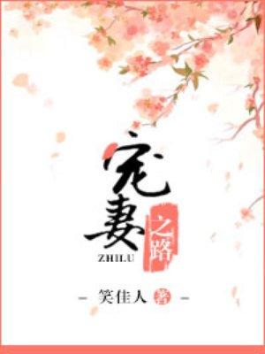 书呆子宠妻之路