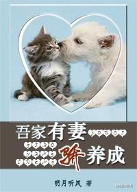 吾家有妻骄养成明月听风讲的是什么故事