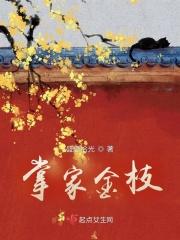 掌家夫妻全文阅读