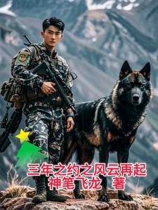 三年之约抢先看全集