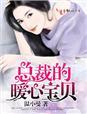 总裁的暖心宝贝童颜